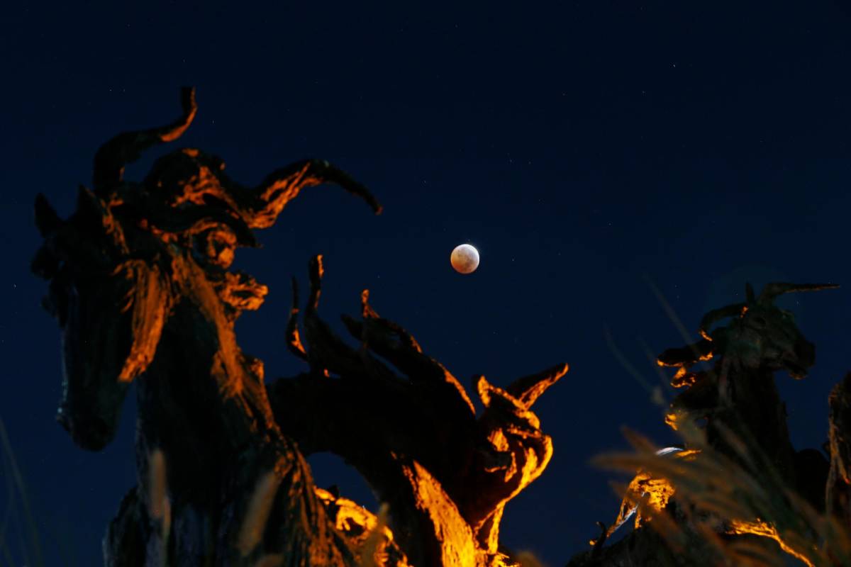 El eclipse fue visible en América del Norte y del Sur, Asia y Australia. En la imagen la luna durante un eclipse total, desde Guadalajara, estado de Jalisco, México. Foto: EFE. 