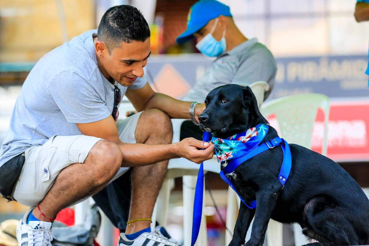 La fundación pro animalista de Copacabana son un grupo de voluntarios trabajan por la fauna callejera en situación de vulnerabilidad. FOTO JAIME PÉREZ