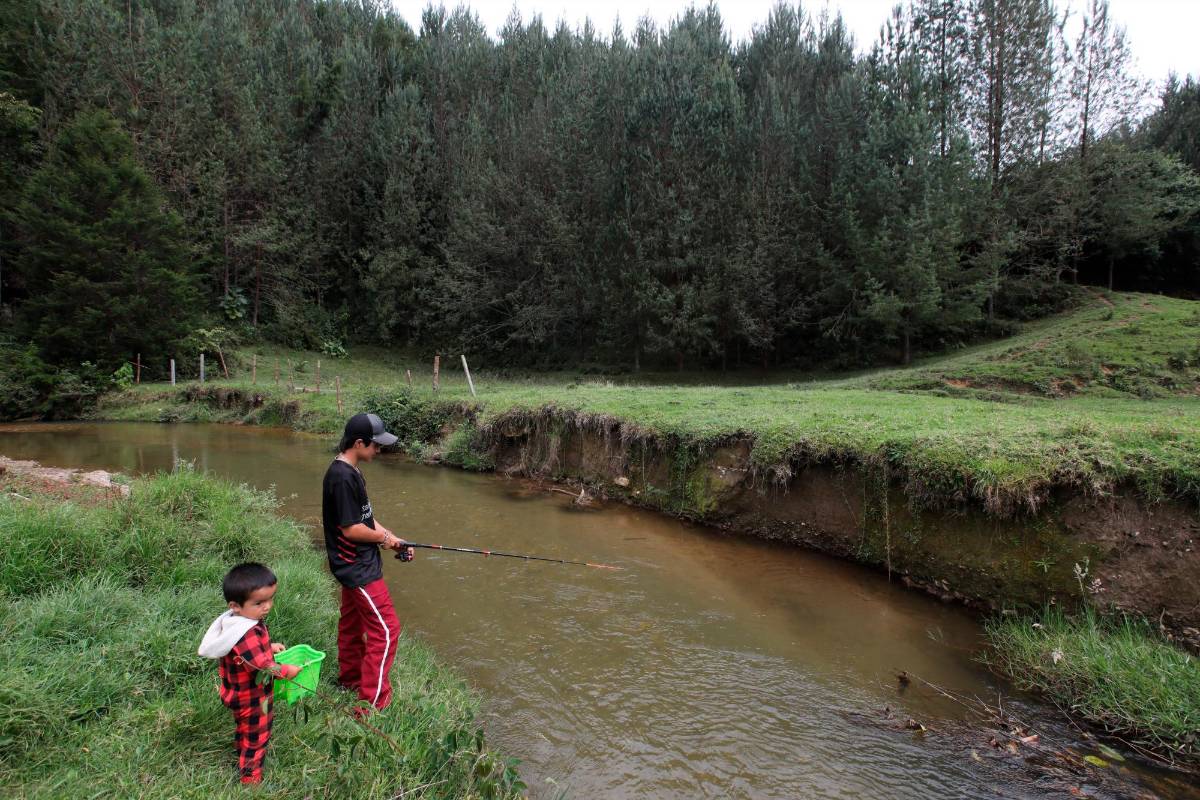 El municipio de Abejorral cuenta con espectaculares zonas rurales propias para la caminería . Foto: Edwin Bustamante