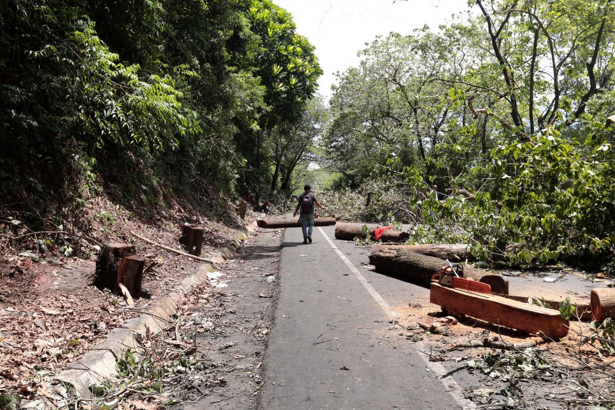 Hacia el mediodía de este sábado 24 de septiembre el gobierno nacional y departamental adelantaban negociaciones en el municipio de Tarazá con las organizaciones mineras para tratar de levantar los bloqueos. Foto: Carlos Velásquez