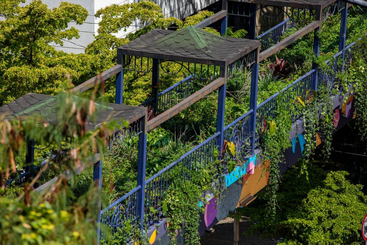 En este puente fueron sembrados 922 metros cuadrados con diferentes especies de plantas. Foto: Camilo Suárez