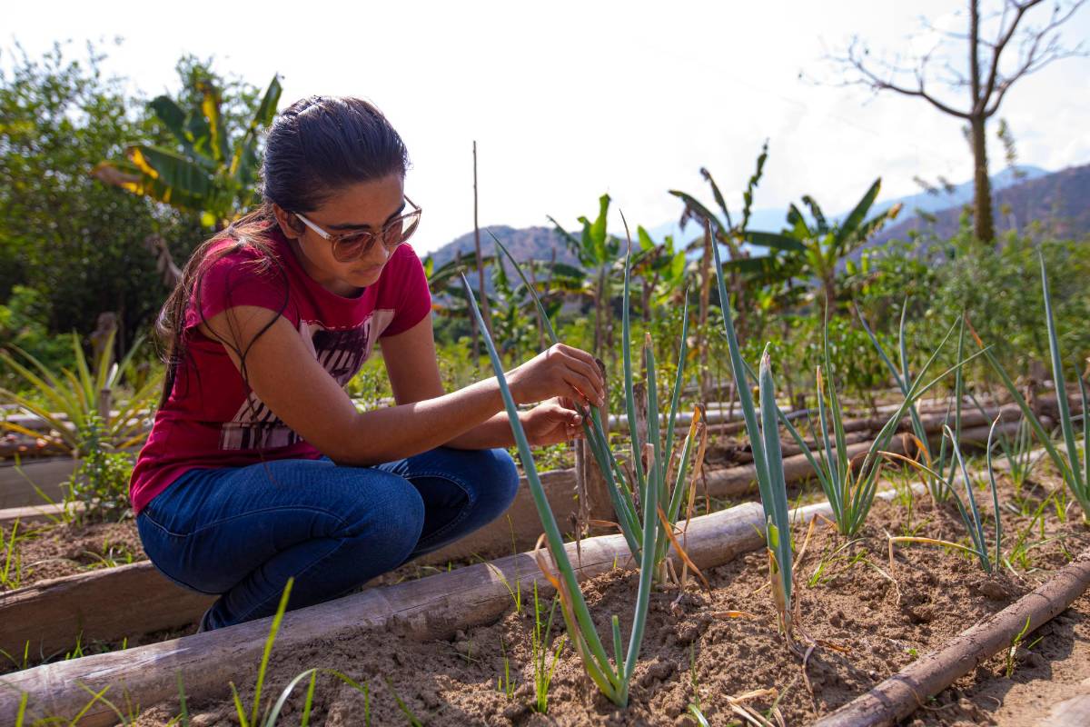En el corregimiento se desarrollan diferentes proyectos productivos como las huertas colectivas, la avicultura y piscicultura. FOTO CARLOS VELÁSQUEZ