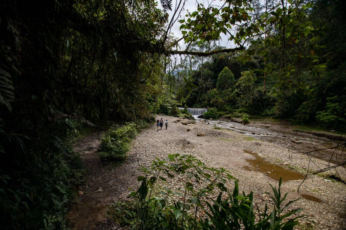 El refugio es una zona visitada por turistas del todo el Valle de Aburrá, su clima entre el cálido sol y corrientes de aire fresco, es un imán para los citadinos. Foto : Edwin Bustamante