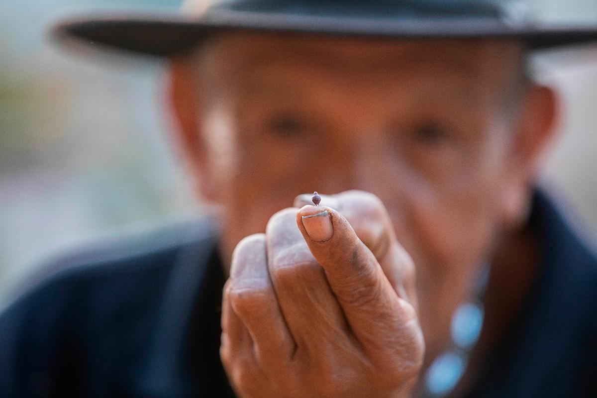 Este maestro artesano no solo lleva 40 años fabricando trompos de todos los tamaños, también es un experto realizando técnicas y trucos con ellos. Foto: Esneyder Gutiérrez