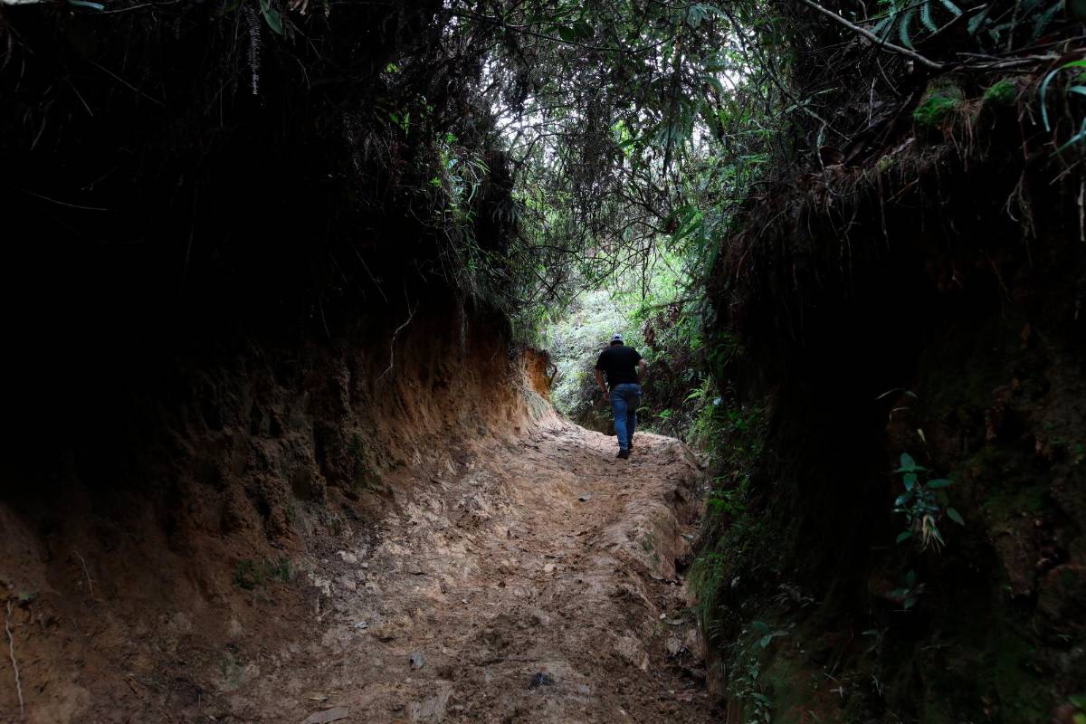 Al menos 245 kms serán adecuados para ser recorridos por 1.500 caminantes. Foto: Edwin Bustamante