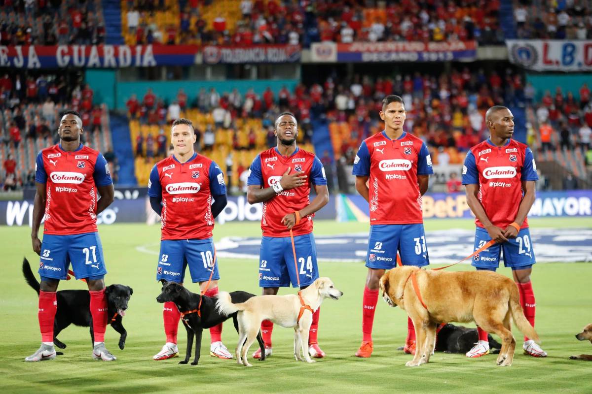 Los jugadores posaron en compañía de los perros, antes del pitazo inicial del partido contra Envigado valido por la jornada 13 de la Liga BetPlay II. Foto Donaldo Zuluaga