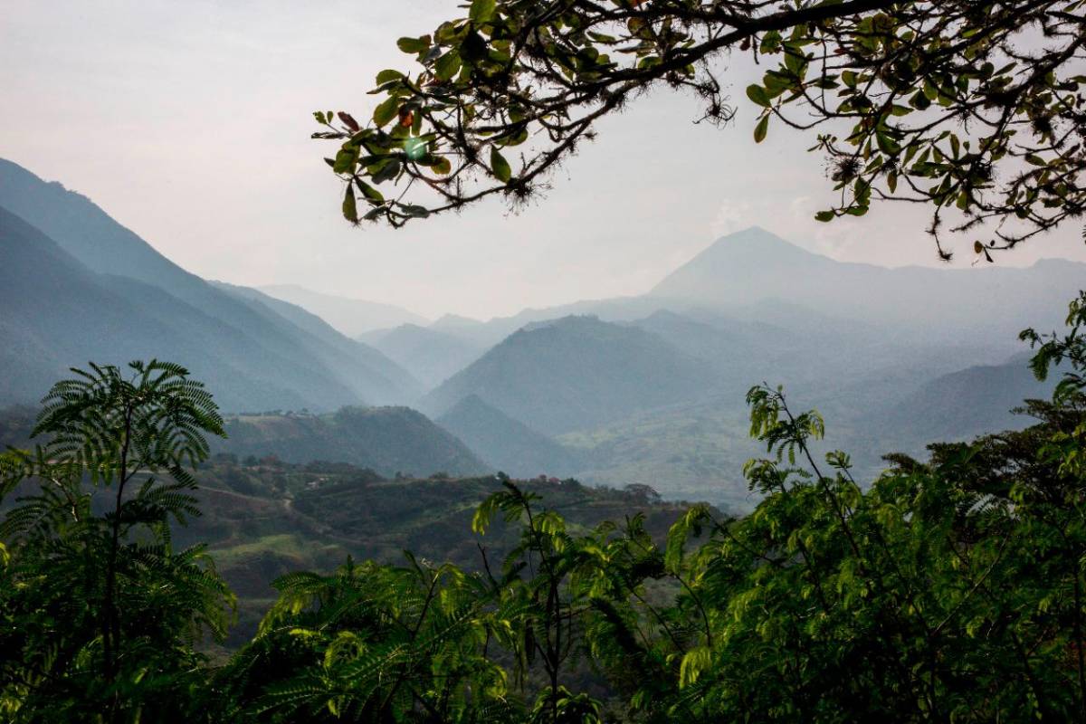 Desde 1974 se celebra el año del medio ambiente, desde entonces se ha venido trabajando en campañas para detener y revertir la explotación masiva a nivel mundial de la naturaleza. EDWIN BUSTAMANTE