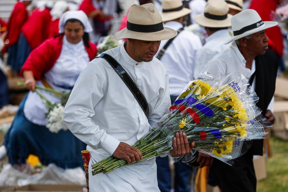 Además de las silletas las flores se utilizarán para escenarios de culturas y artísticos de las comunas y corregimientos de Medellín. FOTO Manuel Saldarriaga