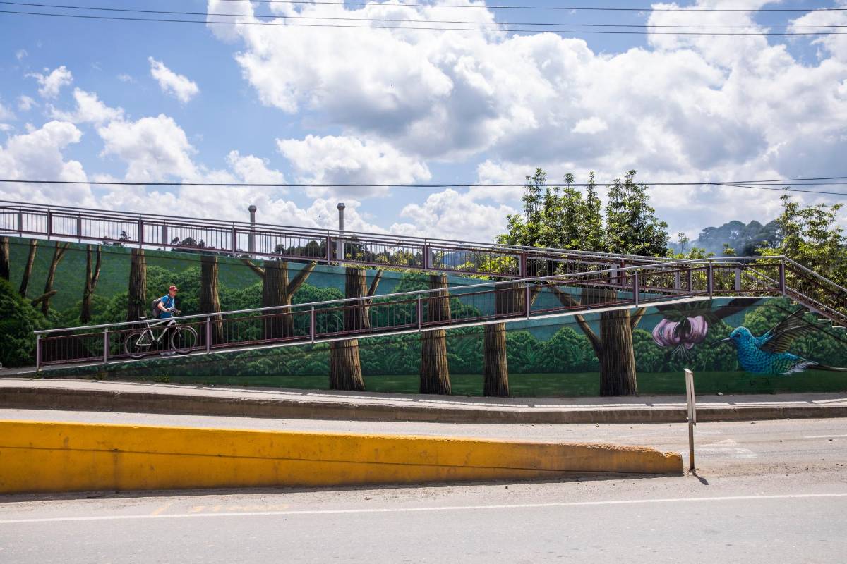 En uno de los murales se ven bosques frondosos que sirven de homenaje a la gran cantidad de zonas boscosas que se encuentran en Antioquia. Fotos: Carlos Velásquez