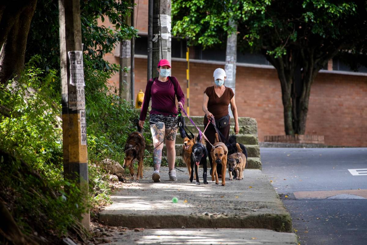 Paseadores de perros recorriendo el barrio La América. Foto Carlos Velásquez