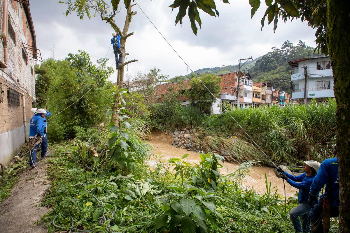 Equipos de poda cortan árboles que están a punto de caer al cauce de la quebrada Doña María del barrio San Javier en Itagüí Foto: Edwin Bustamante