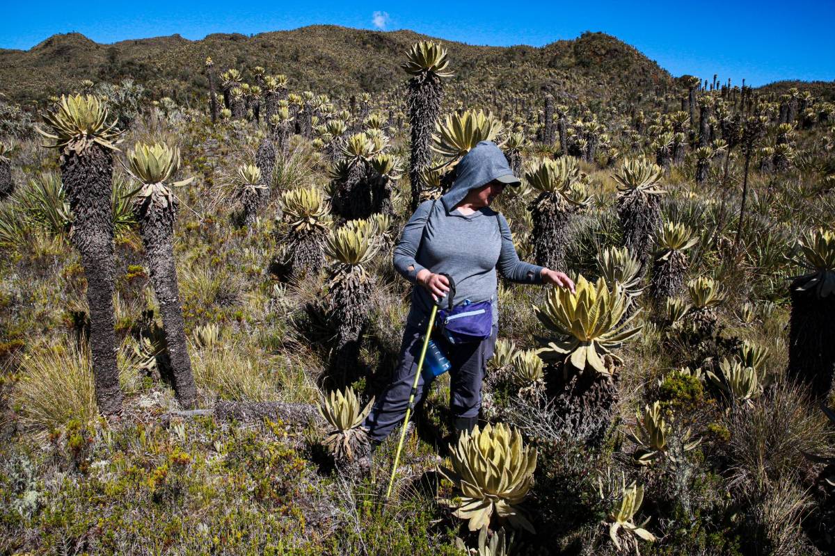 Hace cuatro años, Diana Navarro, hija de Matilde, le anunció a las autoridades del municipio la prohibición del turismo en sus tierras, una decisión que les acarreó algunas enemistades. Foto: MANUEL SALDARRIAGA QUINTERO.