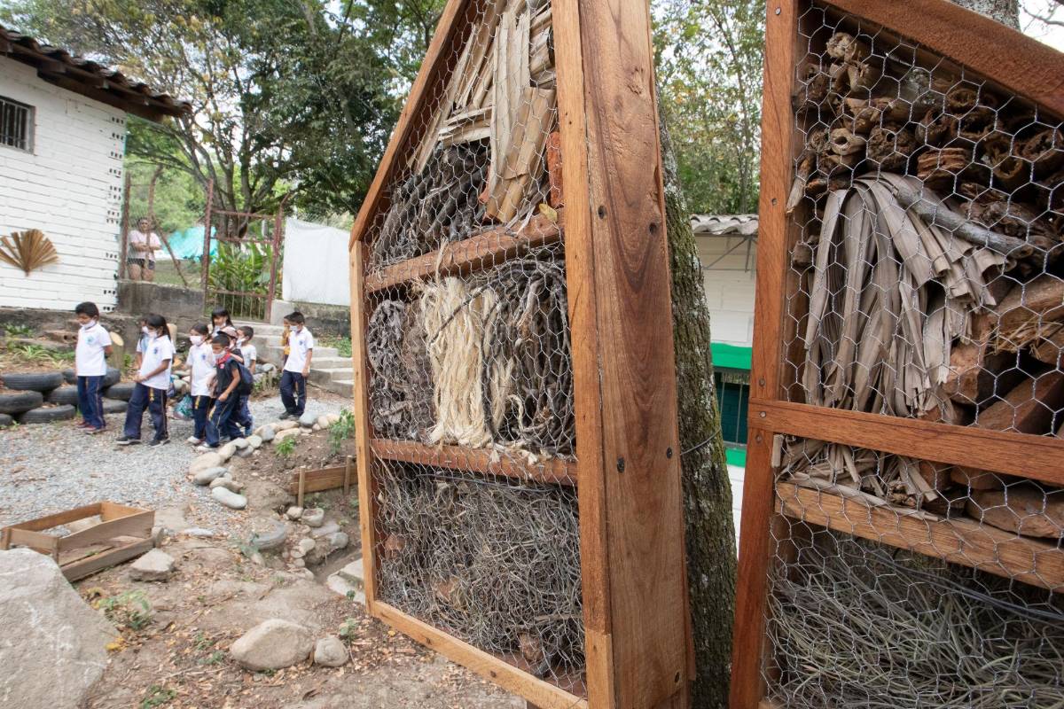 La granja cuenta con un hotel para insectos, cultivo de lombrices. Foto: Edwin Bustamante