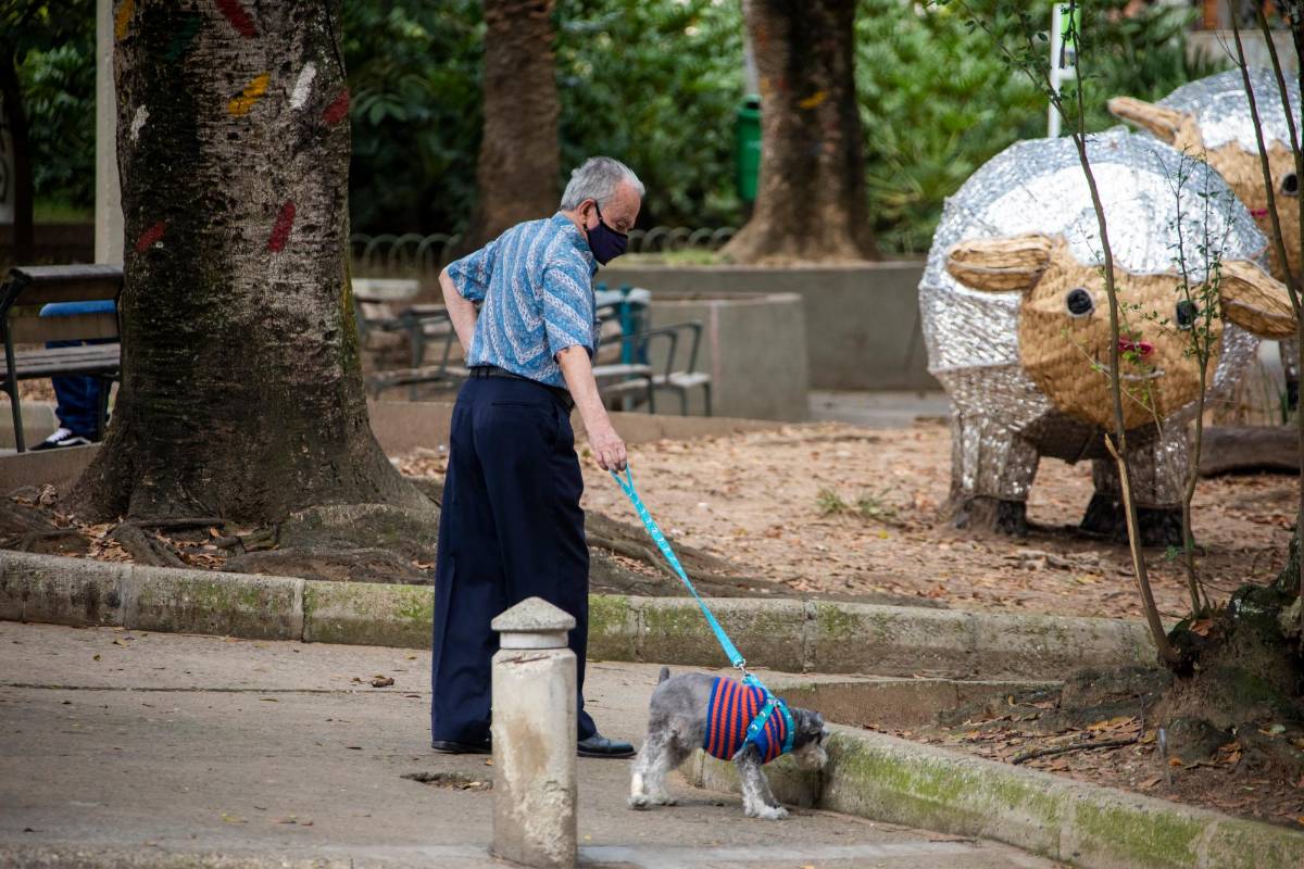 Ciudadanos paseando a sus perros fue una escena común en la ciudad. Foto Carlos Velásquez