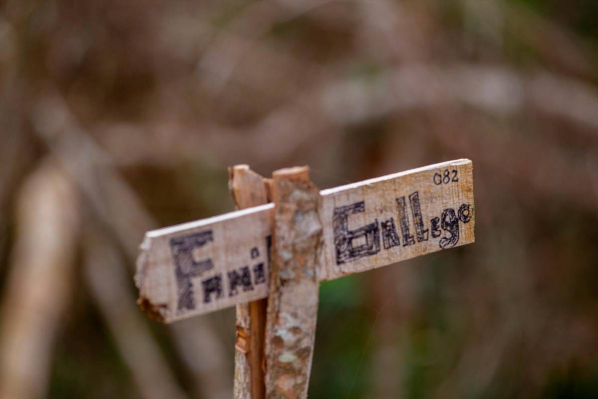 El lote Las Pavas fue adquirido por el municipio de Remedios en 2001, se declaró reserva natural. Allí se hacían las liberaciones de animales silvestres y se reforestaba. Foto: Camilo Suárez Echeverry