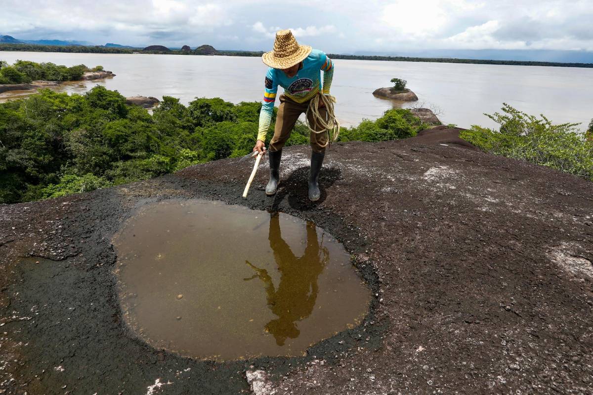 Uno de estos destinos naturales es la isla Santa Elena, que está ubicada en Puerto Carreño, tiene una extensión aproximada de 350 hectáreas. Foto: Manuel Saldarriaga Quintero