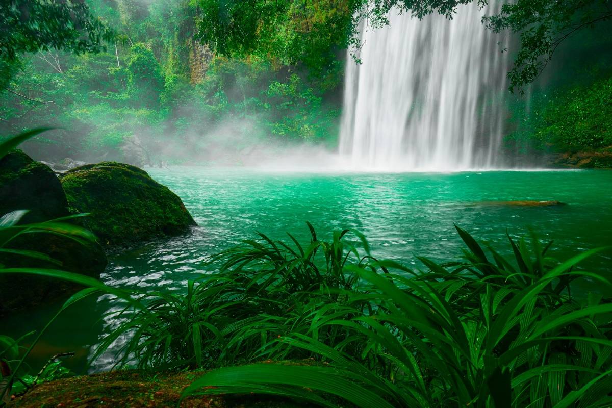 Cascada Telares de Cristal, ubicada en la vereda San Antonio y tiene una caída aproximada de 40 metros. FOTO: @luismunozfotografia