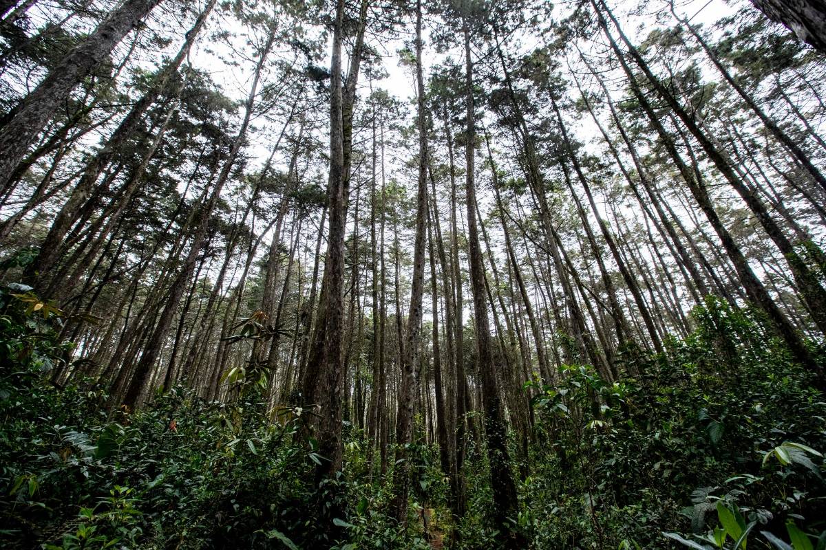 Una amplia zona del área de esta reserva natural ha sido declarada Patrimonio Nacional. Foto Jaime Pérez