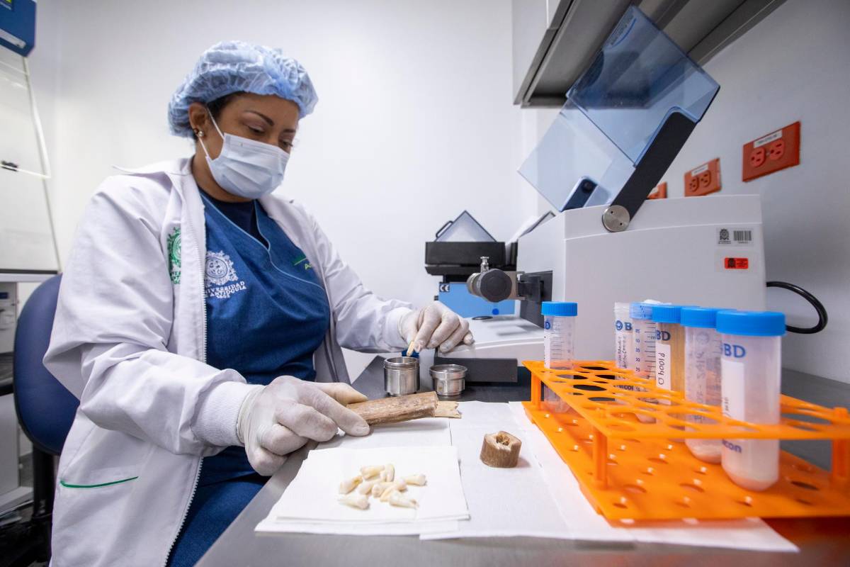 En Antioquia está el segundo laboratorio certificado del país que presta los servicios de identificación de cuerpos a partir de restos óseos y piezas dentales. Foto: Carlos Velásquez