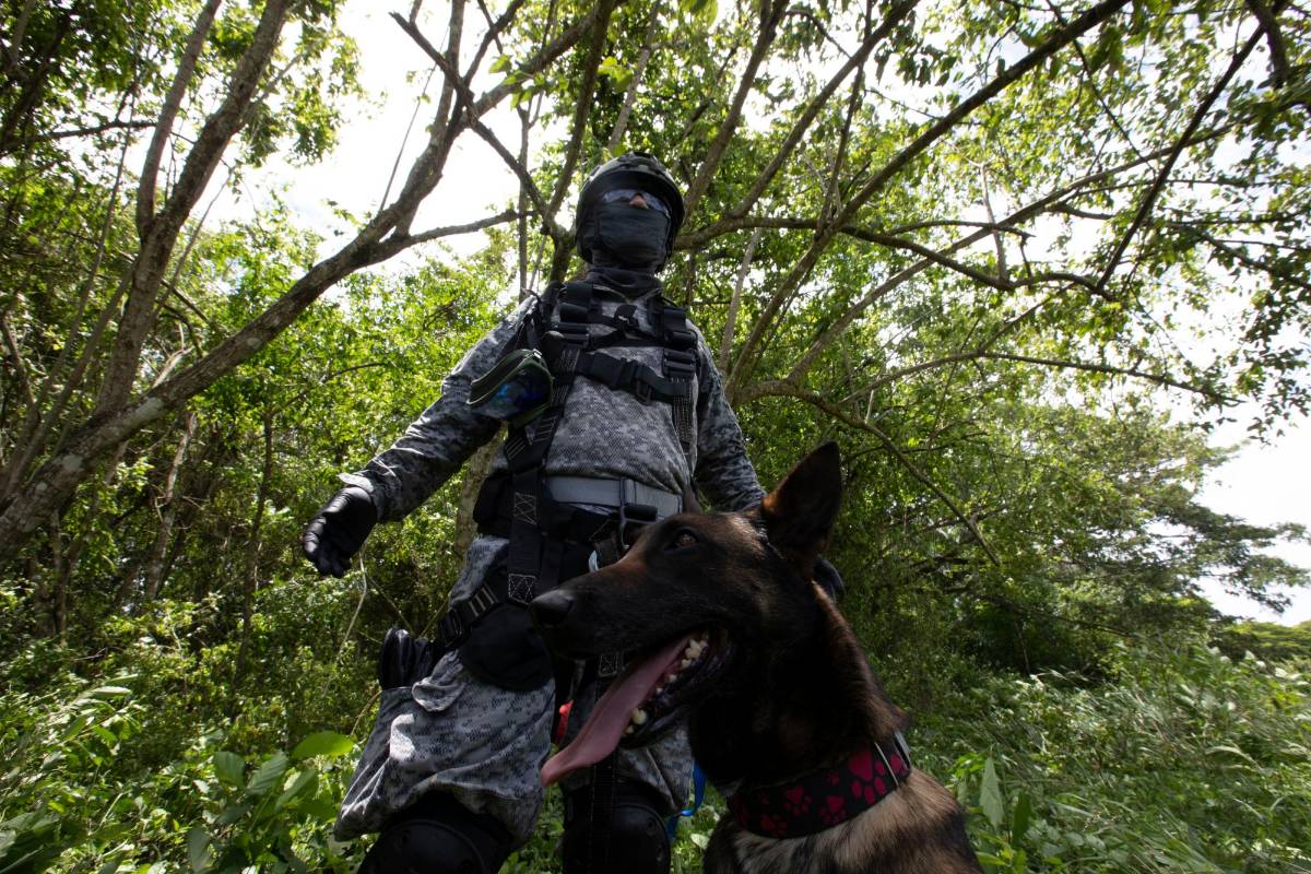 El ejercicio contó también con la presencia de perros entrenados en rescate de personas. Foto: Edwin Bustamante
