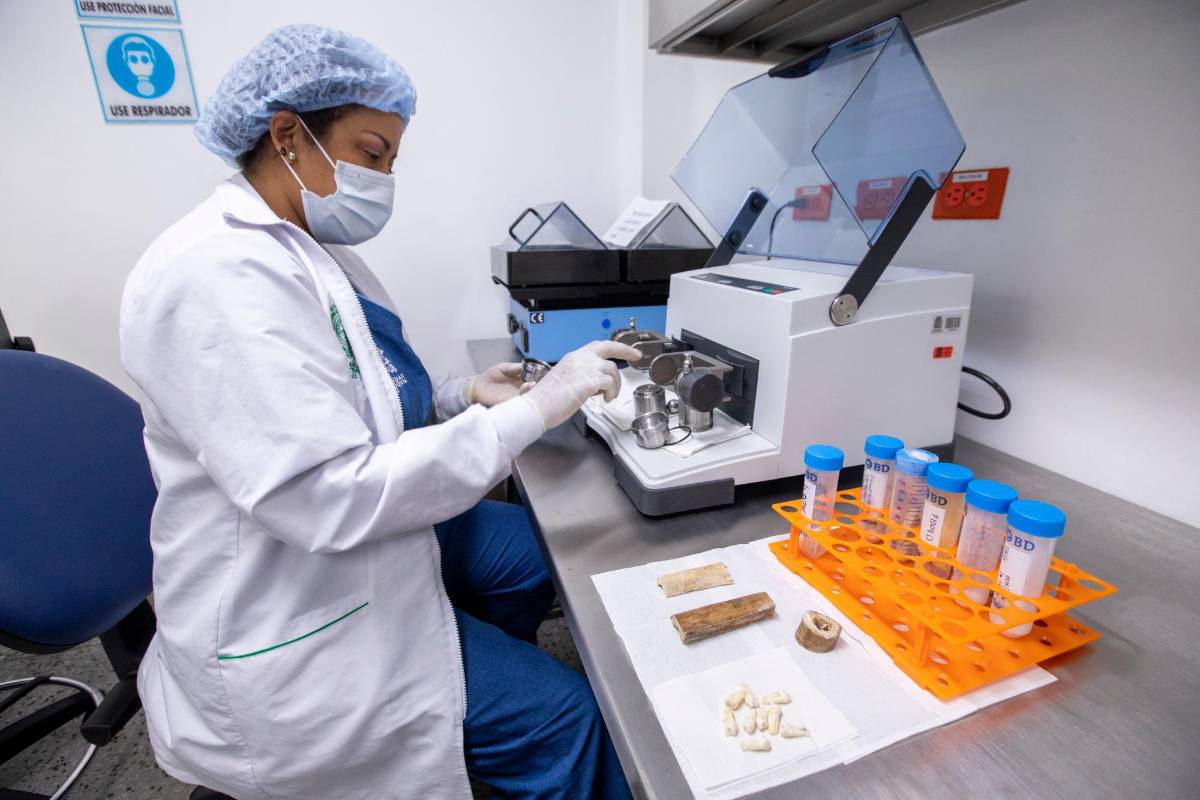 Desde su fundación, hace más de 40 años, el laboratorio ofrece servicios de genética orientados al derecho civil, en el tiempo reciente ha aportado al esclarecimiento de hechos asociados al conflicto armado colombiano. Foto: Carlos Velásquez