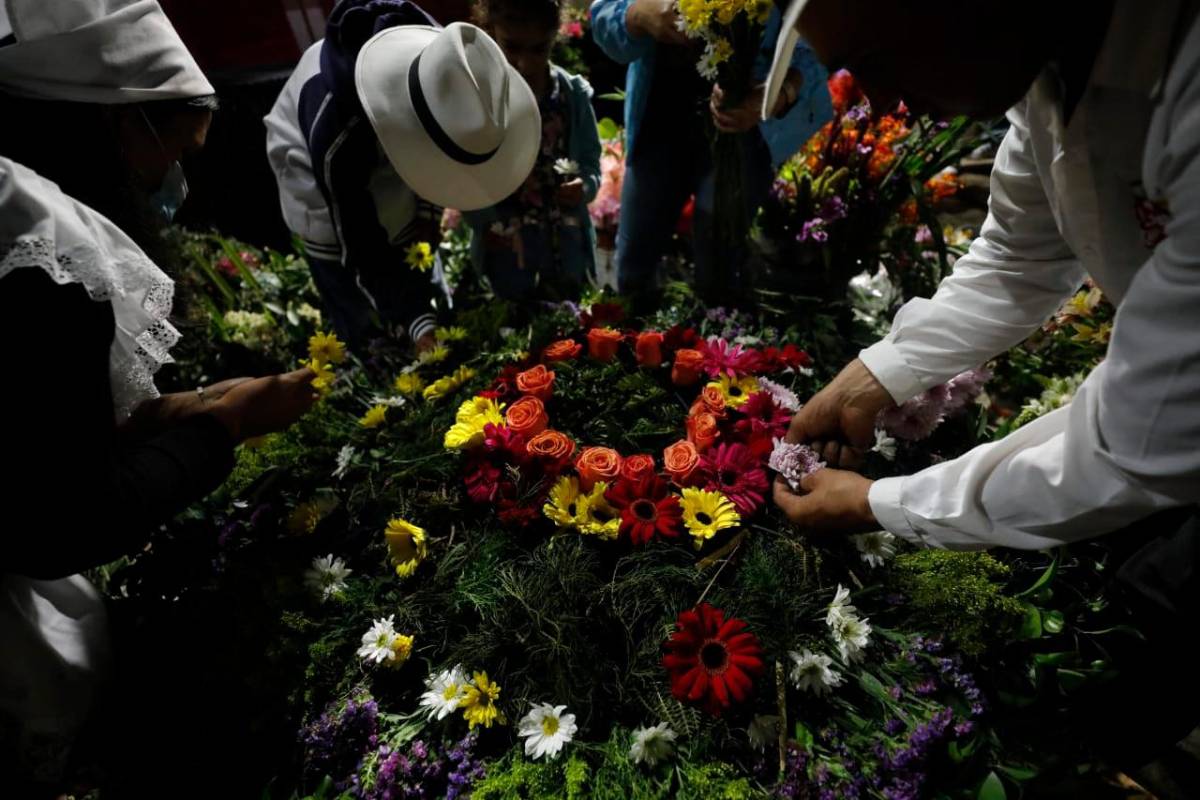 La mayoría de familias duermen muy poco pues quieren tener las silletas listas lo más tarde posible y así lograr que las flores estén más frescas. Foto: Camilo Suárez