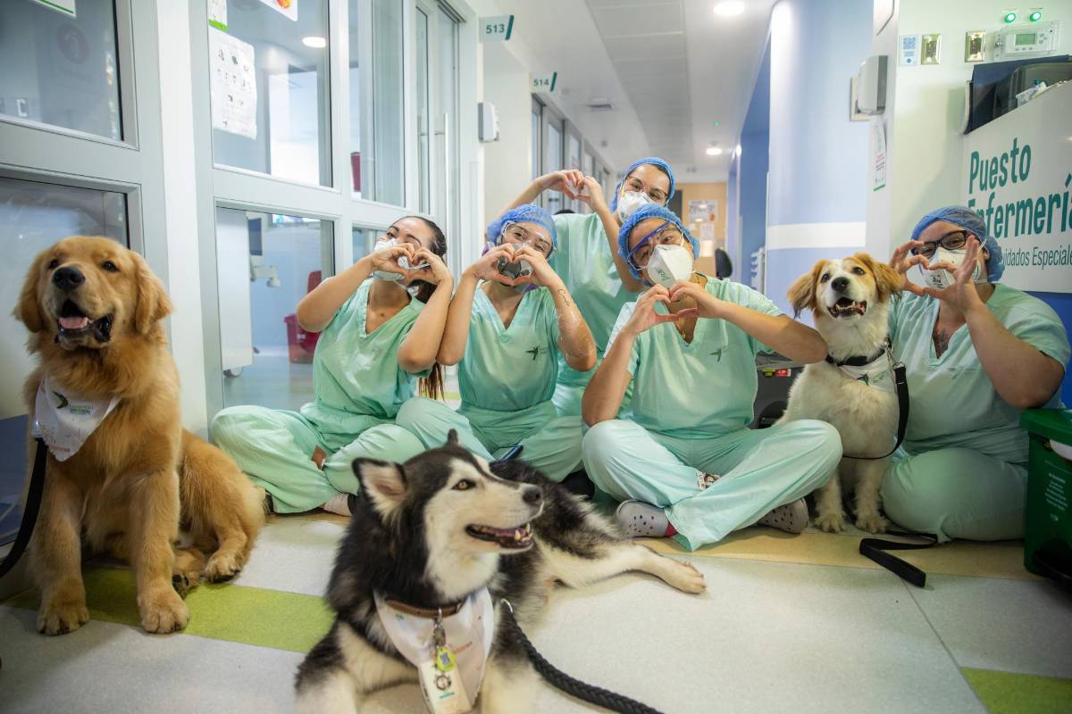 El personal de la salud aprovecho la presencia de los caninos para romper un poco la rutina, acariciarlos y tomarse fotos con ellos. Foto: Carlos Velásquez