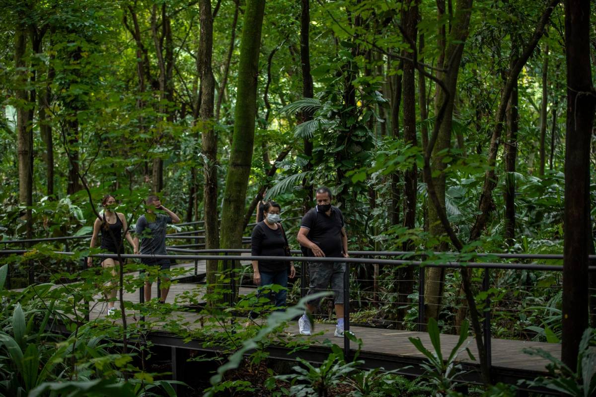 El Joaquín Antonio Uribe es el segundo Jardín Botánico más importante de Colombia, después del de Bogotá. Foto Camilo Suárez