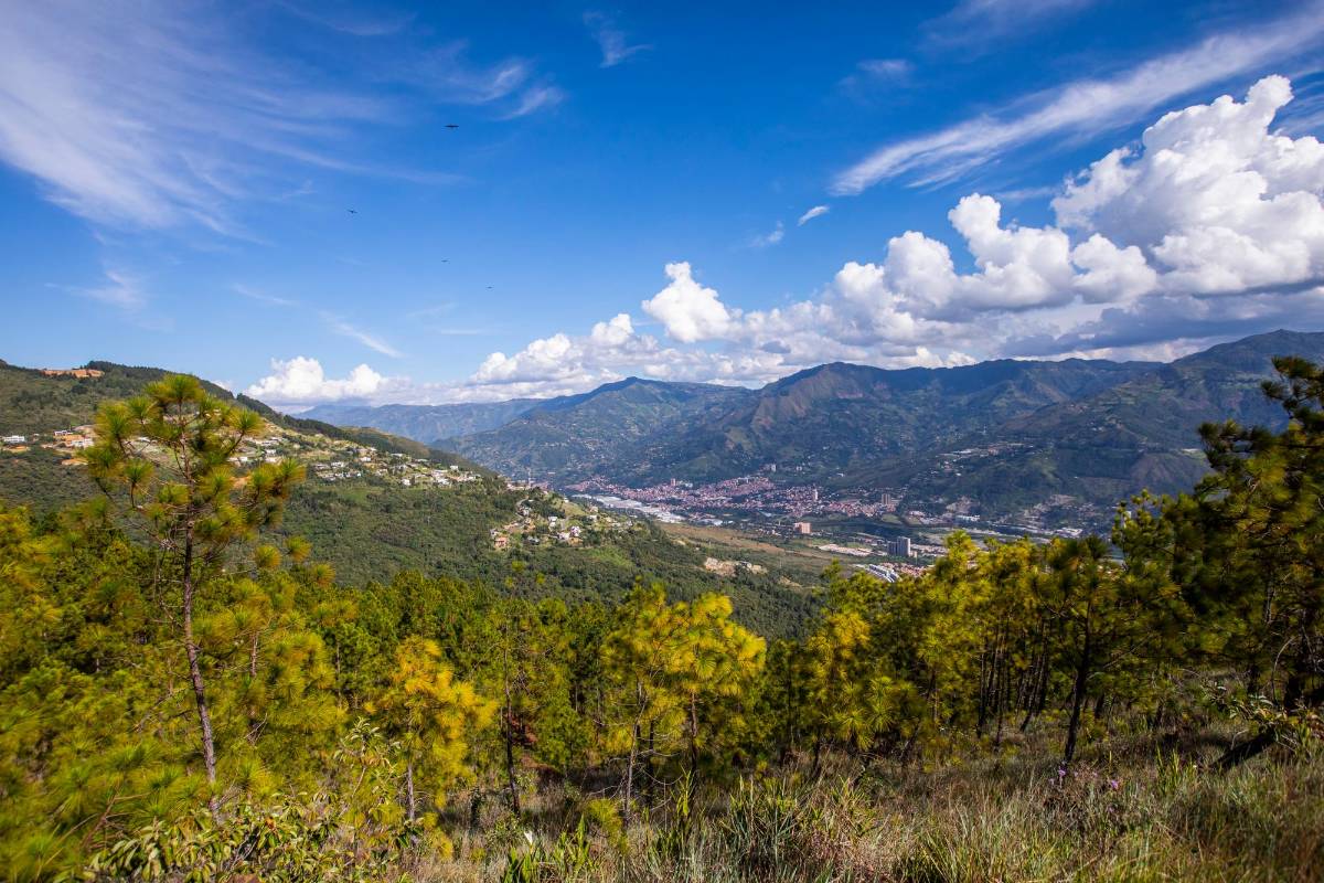 Desde ahora se debe trabajar en un plan de manejo ambiental que haga posible la conservación de la riqueza de fauna y flora. Foto : Carlos Velásquez