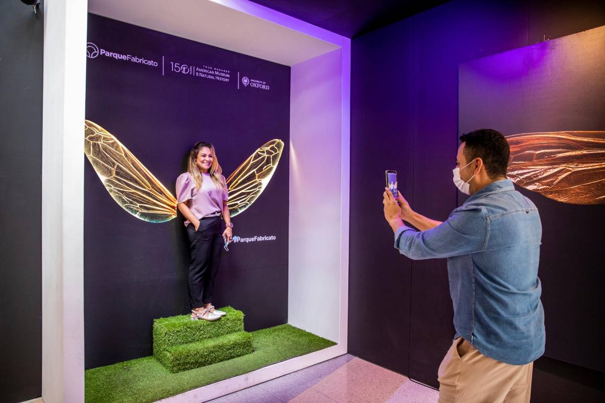 Los asistentes pueden tomarse fotografías con alas de insecto como un recuerdo de la exhibición. Foto: Carlos Velásquez