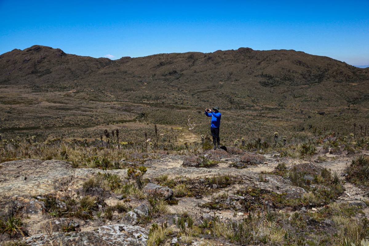 Este ecosistema cuenta con 15.396 hectáreas, están presente en 10 municipios de Antioquía y uno del Chocó. Foto: MANUEL SALDARRIAGA QUINTERO.