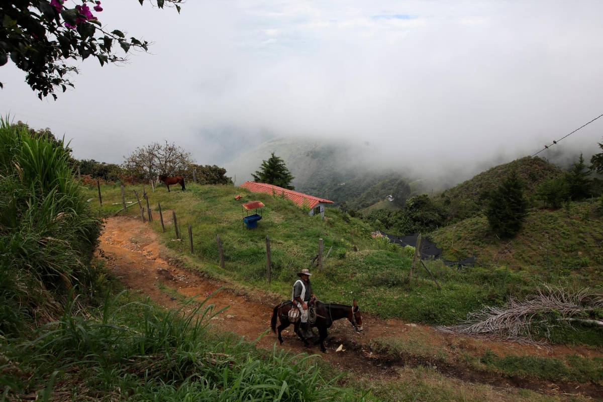 Caminos que hacen parte de la historia y del proceso de fundación del centro del país. Foto: Edwin Bustamante.