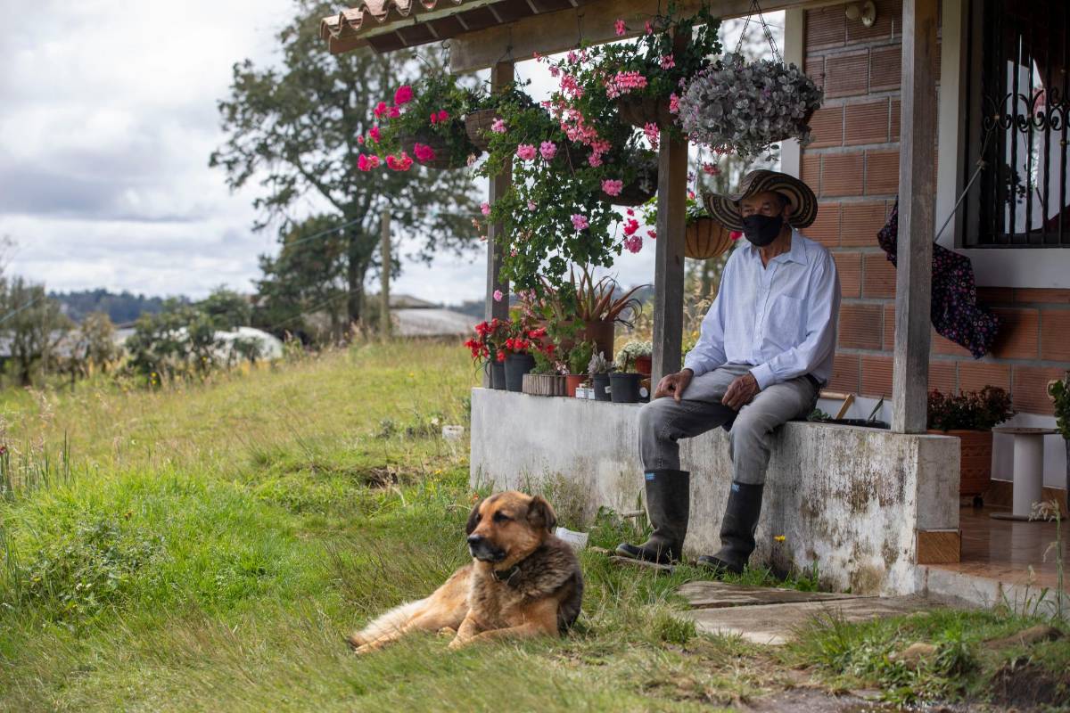 Aparte de 211 paquetes entregados, cada familia también espera de la Secretaría de Inclusión Social una ayuda para la Renta Básica y otra para el Plante Familiar. Foto: Edwin Bustamante