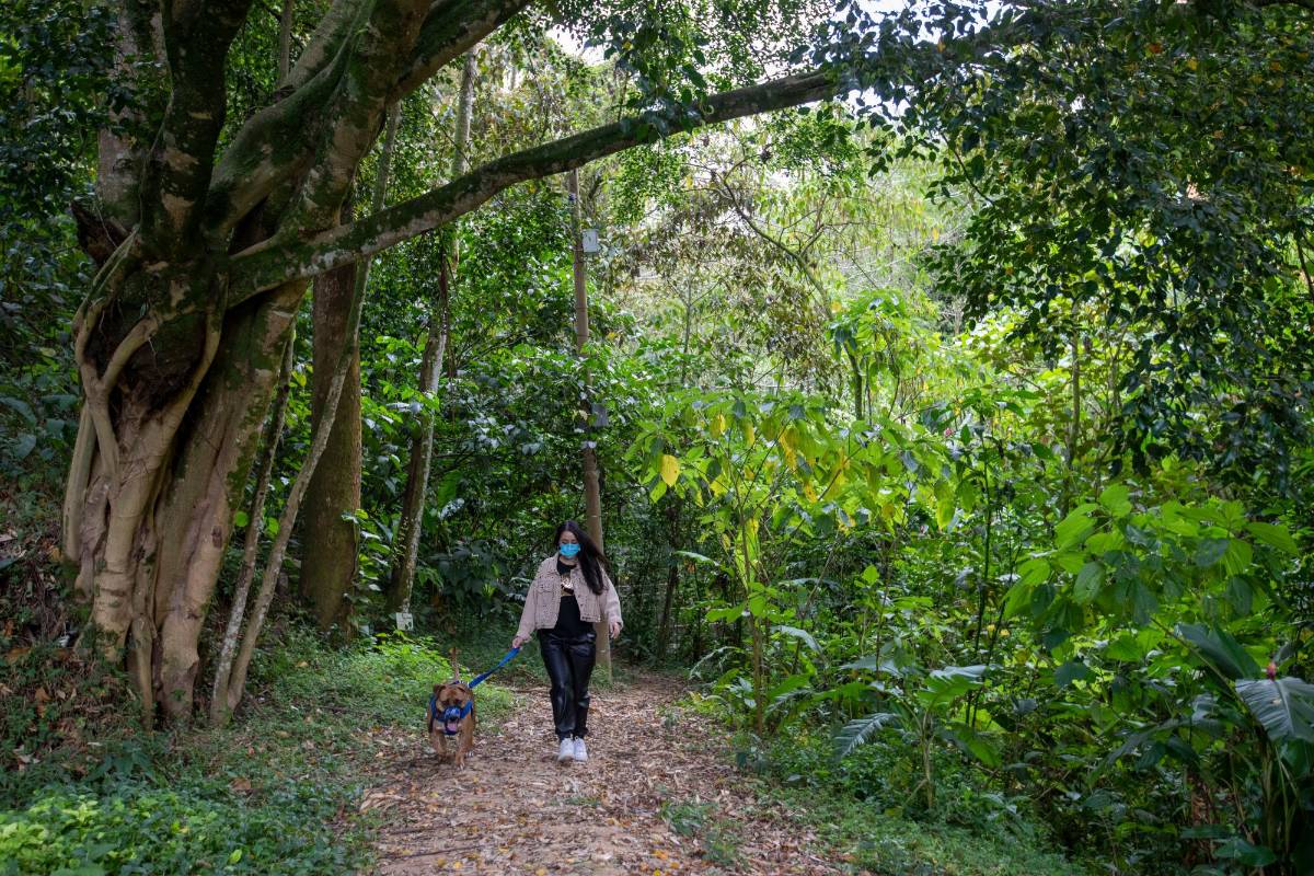 El parque La Heliodora está ubicado en el municipio de Envigado. Nunca sobran las medidas de bioseguridad. Foto: Edwin Bustamante