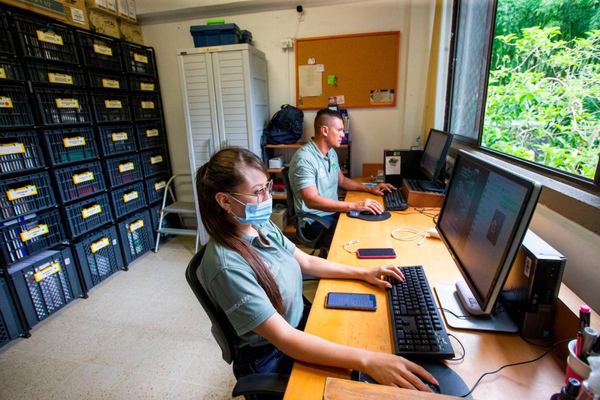 Desde el 2 de junio de 2022: el CAV creó un call center para atender a tiempo todos los casos que se reportan en el CAV. Foto: Esneyder Gutiérrez