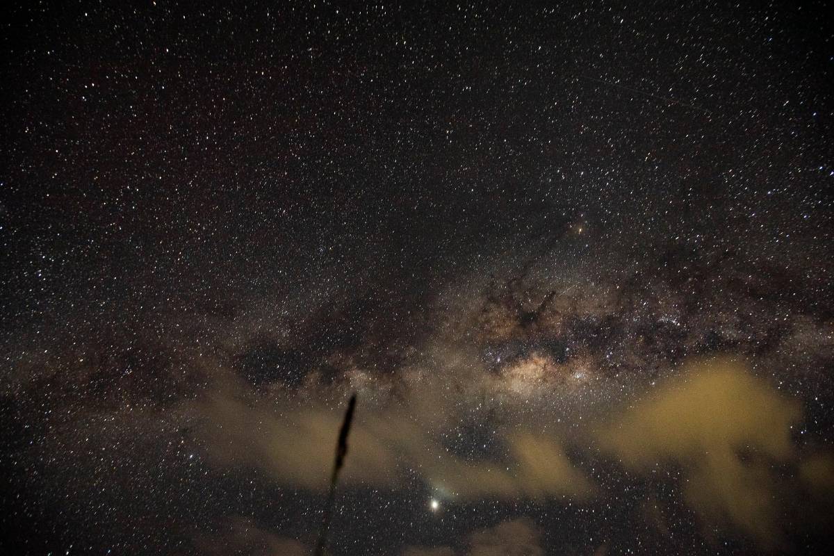 Con esta celebración se pretende fomentar la búsqueda de soluciones a muchos problemas para conservar los recursos ambientales de la Tierra y que las generaciones futuras puedan disfrutar de ellos. Foto: Jaime Pérez 