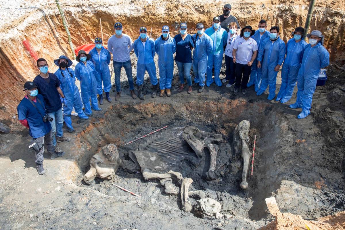 En el Parque Temático Hacienda Nápoles, donde hay leones, avestruces y elefantes africanos, enterraron en 2012 el cuerpo de la que fue una de las elefantas indias más longevas del mundo. FOTOS EDWIN BUSTAMANTE