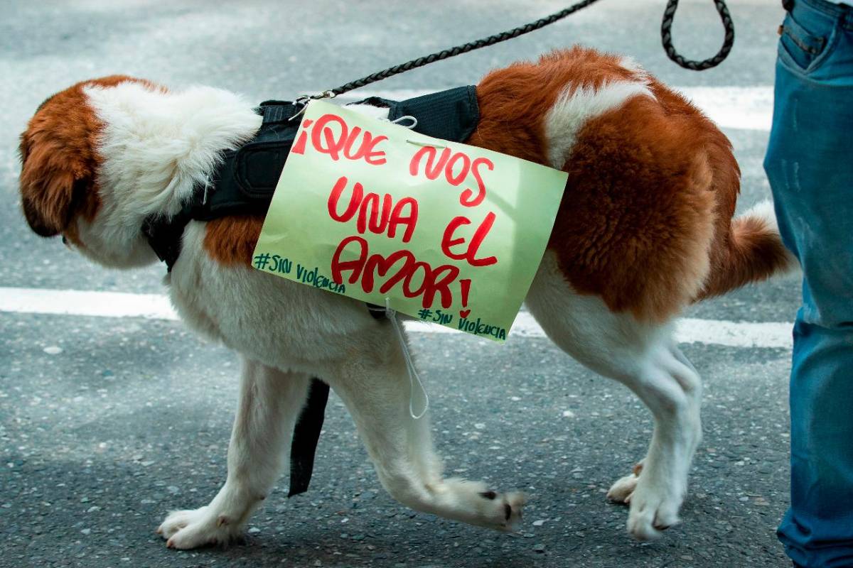 El 28 de abril se dieron las primeras marchas en la ciudad y aún siguen siendo masivas las manifestaciones. Foto: Jaime Pérez