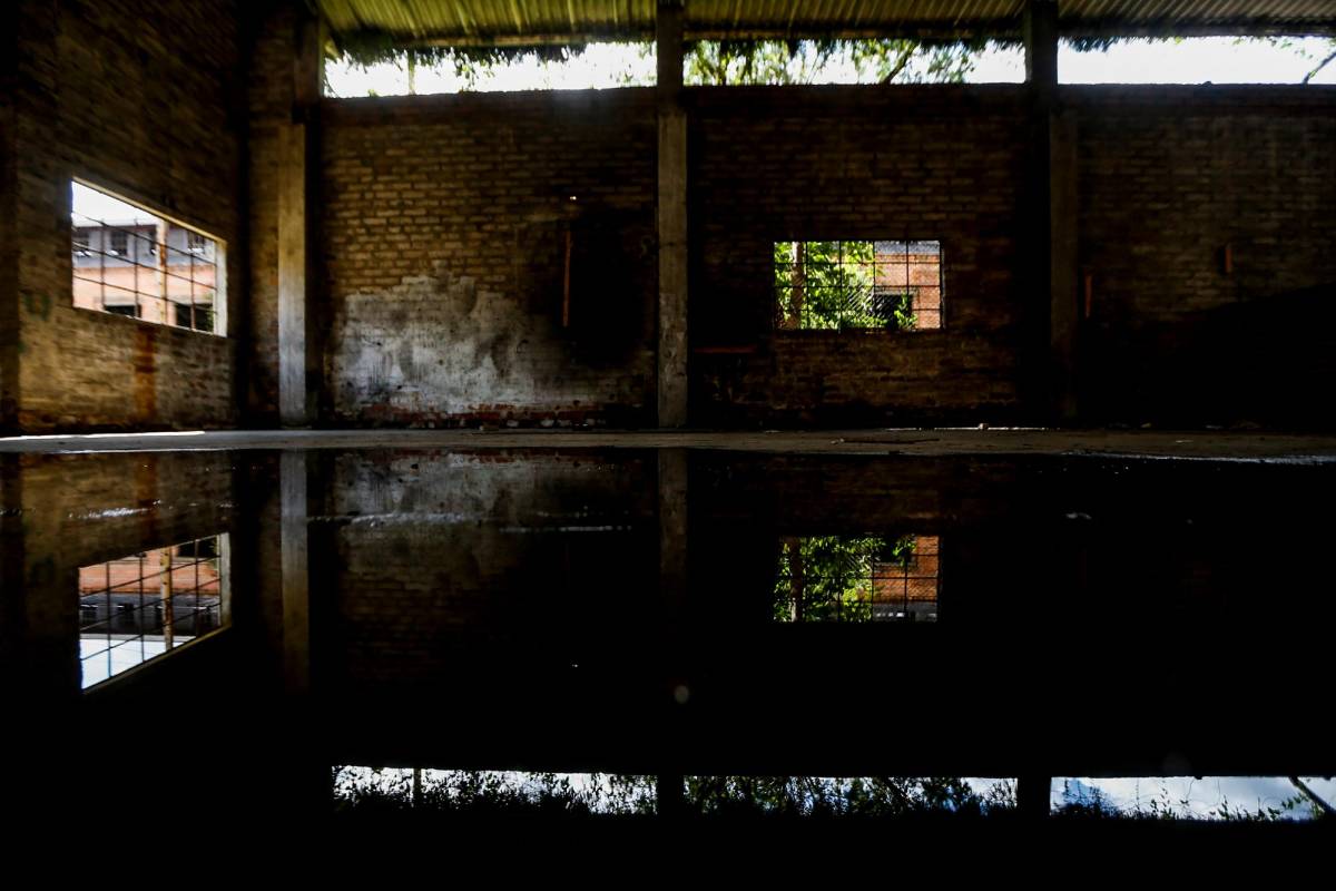 Hiervas, sombras y reflejos, son los últimos testigos de la transformación de los talleres del Ferrocarril de Antioquia en talleres de arte. FOTOS : JULIO CÉSAR HERRERA