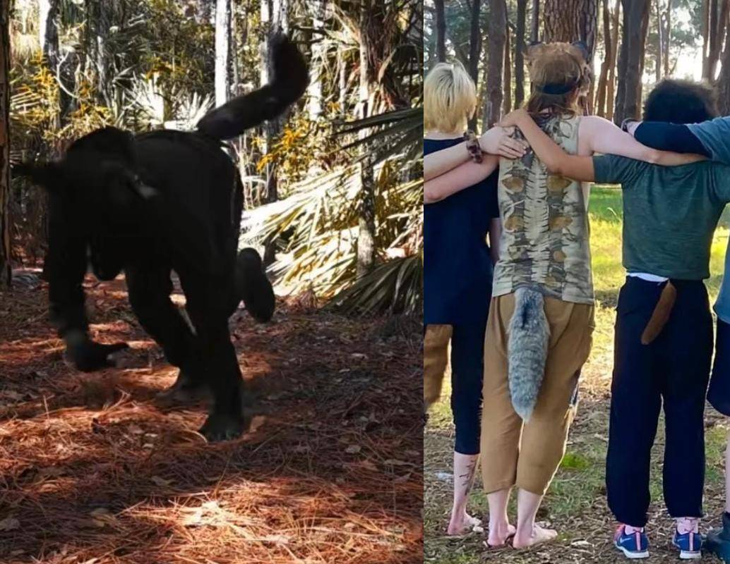 La comunidad <i>therian</i> comenzó a organizarse en foros de internet en la década de 1990, donde encontró un espacio para compartir experiencias e identidad lejos del estigma social. FOTO: Redes sociales. 