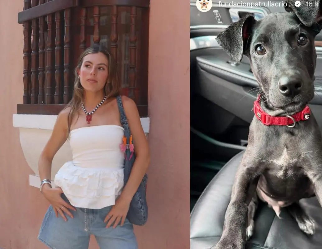 Durante la emergencia invernal en Córdoba, decenas de voluntarios, veterinarios, fundaciones e influencers participaron en jornadas de rescate y traslado de animales afectados por las inundaciones. FOTO: redes sociales, Camila Reyes Londoño y Patrulla Criolla.