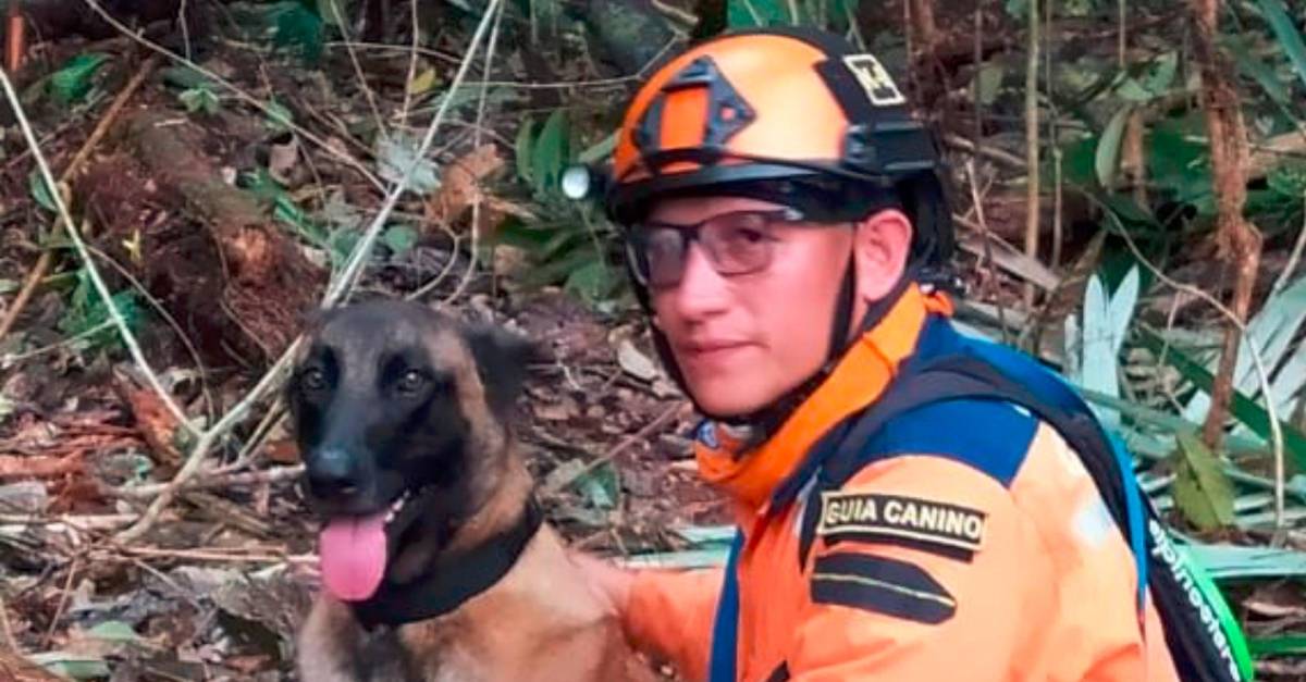 Carlos Villegas, a paisa rescuer, who, along with his dog Delius, supported the search for children in Guavier.