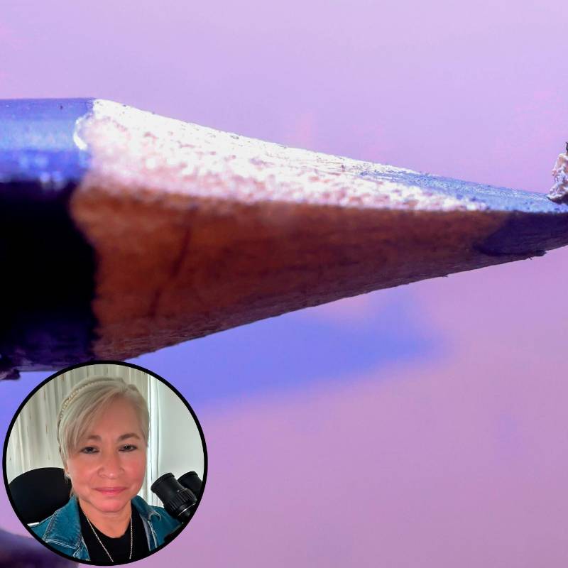 Más de 400 obras ha creado la artista santandereana Flor Carvajal durante casi tres décadas de trayectoria en la microescultura. Las obras hay que verlas con Lupa, el nivel de detalles es impresionante. FOTOS Camilo Suárez y Cortesía