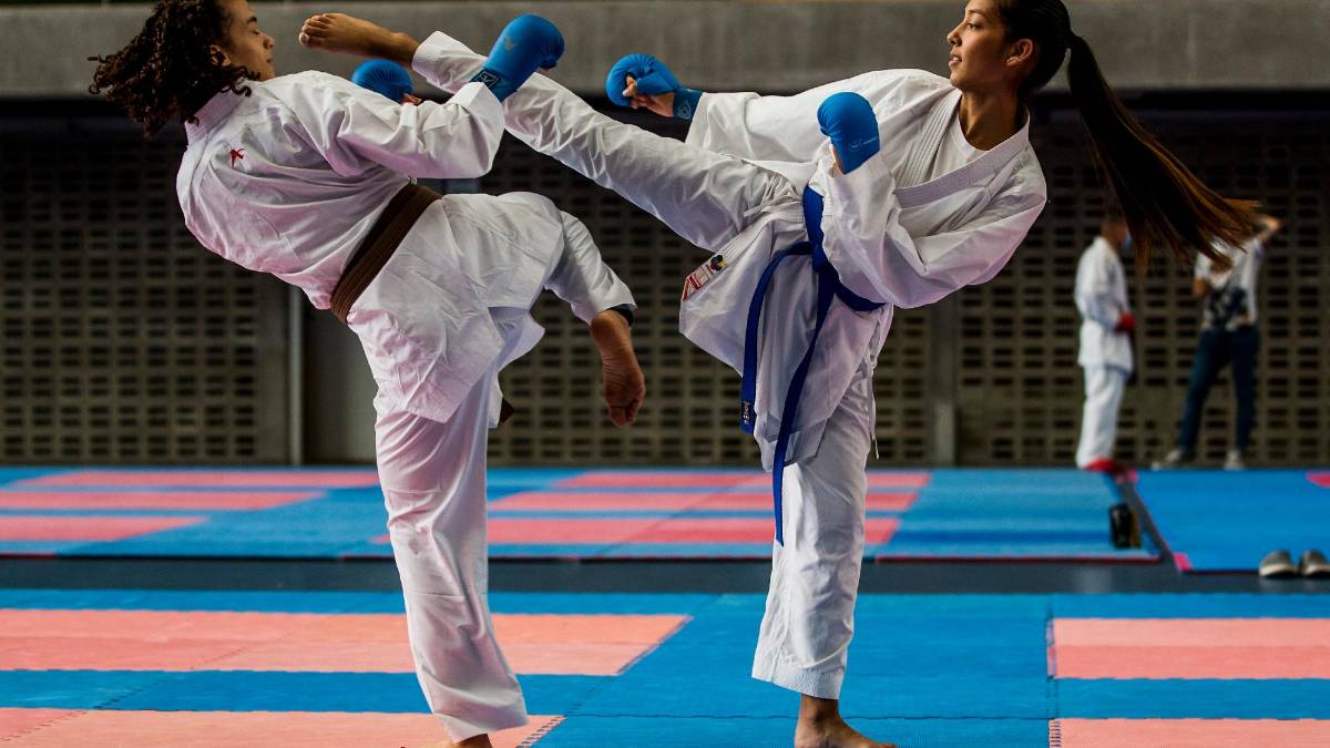 Las artes marciales, en todas sus disciplinas, dieron un golpe de ...
