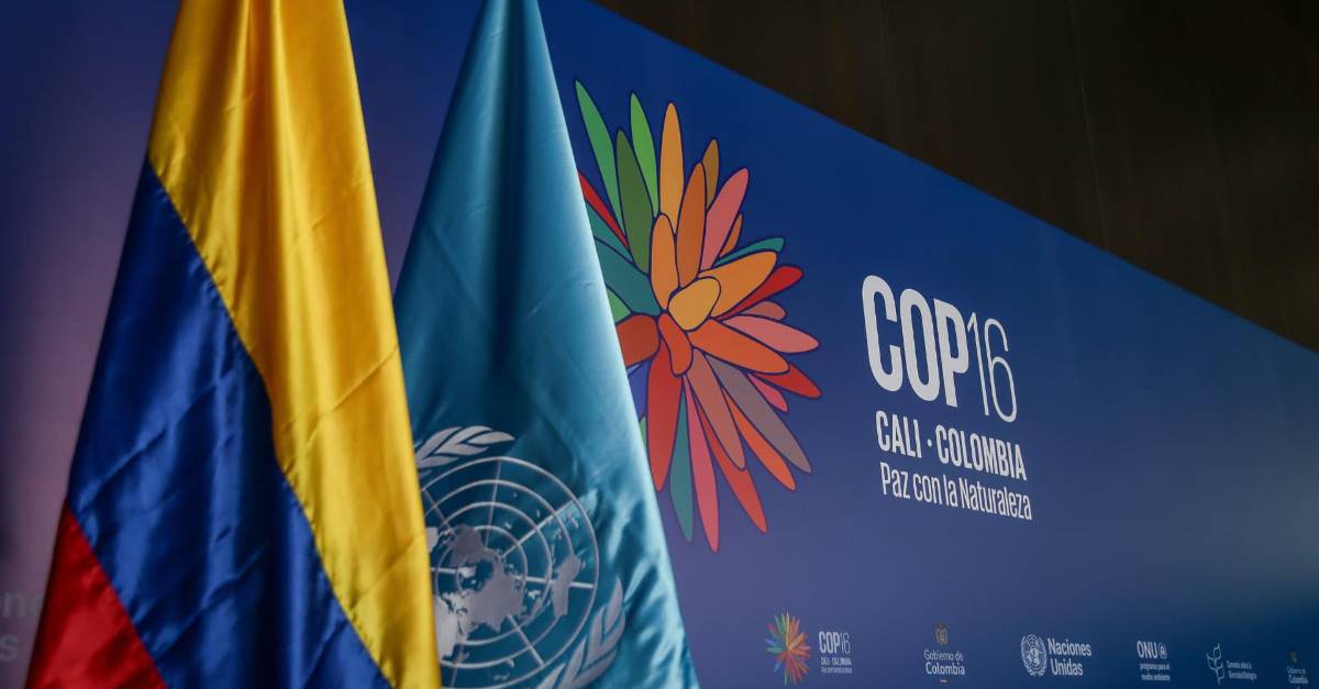 Procuraduría reclama presencia del ICBF en la COP16 para evitar riesgos ...