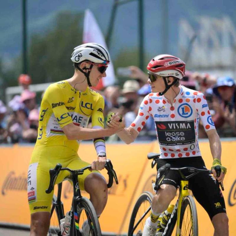 Se disputa la etapa 19 del Tour de Francia que tuvo que ser recortada por probema de brote bovino. FOTO TOMADA X@LeTour 