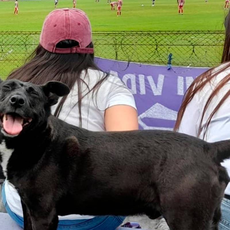 Guille en la cancha de Villa Dálmine. FOTO: Instagram elperrodelclub