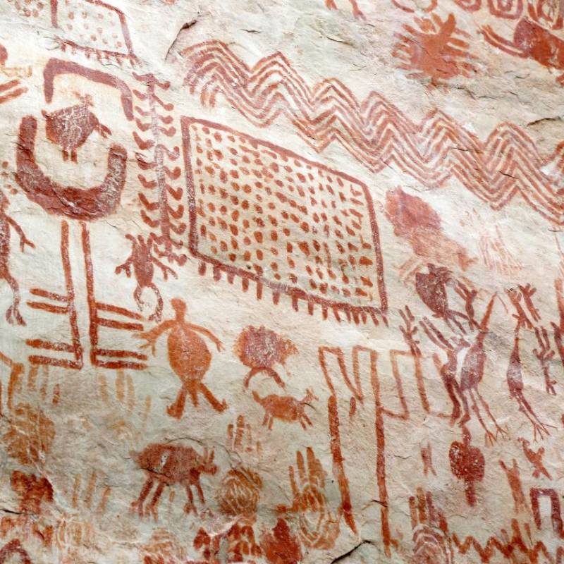 Los pictogramas en la Serranía de Chiribiquete representan animales que hoy ya no existen. FOTO Colprensa