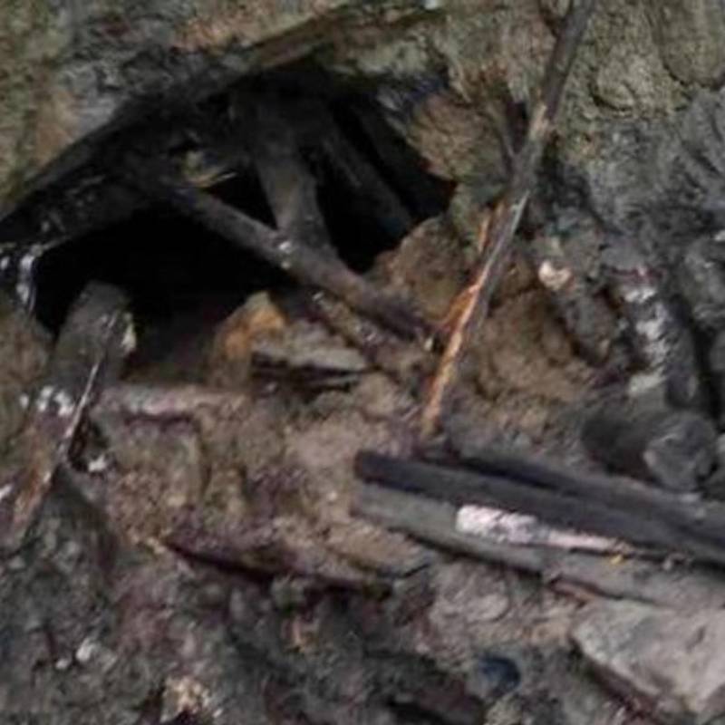 Bomberos, Policía, Ejército Nacional y otros organismos de socorro se encuentran en el punto del accidente, donde hasta ahora solo han confirmado tres muertos y un herido. FOTO: Cortesía Blu radio