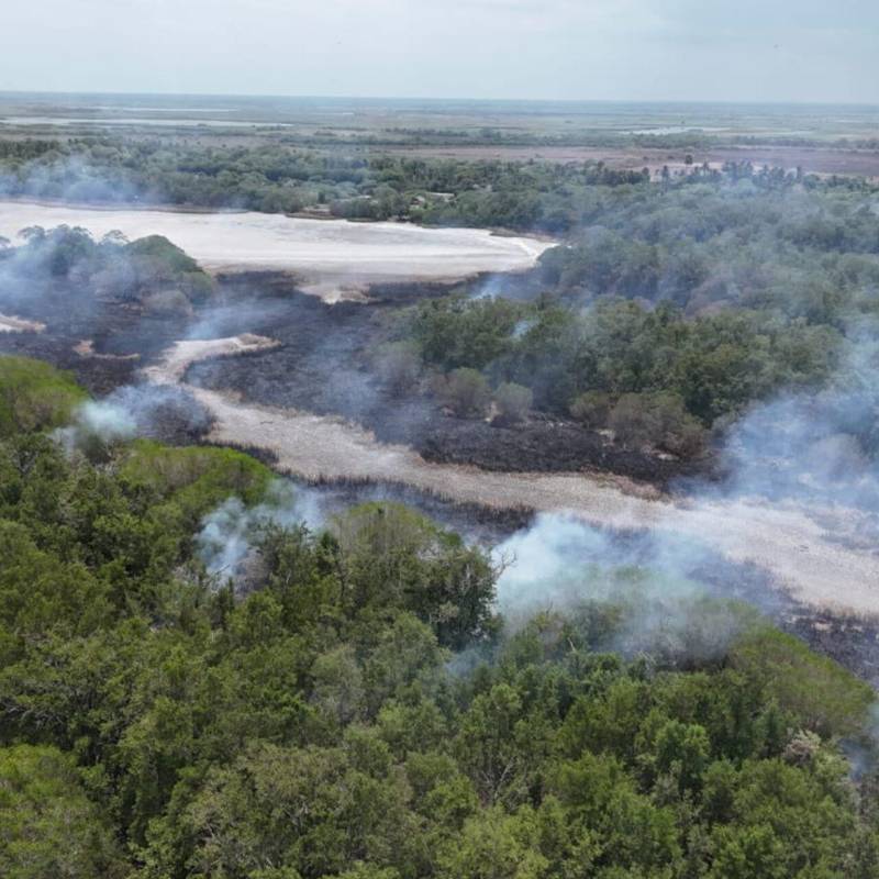 El incendio forestal ha consumido un área que es declarada Reserva de la Biosfera por la Unesco. Foto: Gobernación de Magdalena